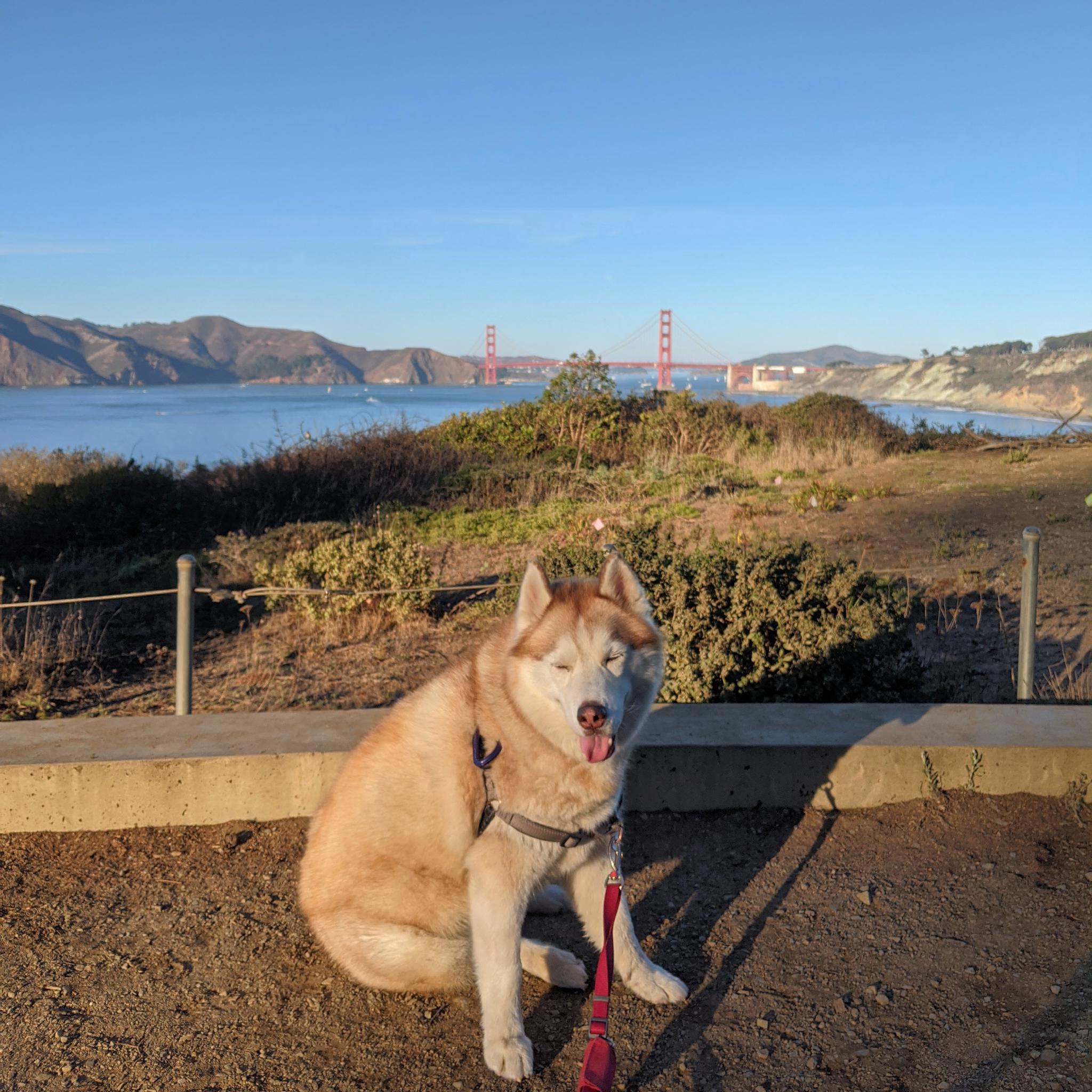 Noona on a hike.