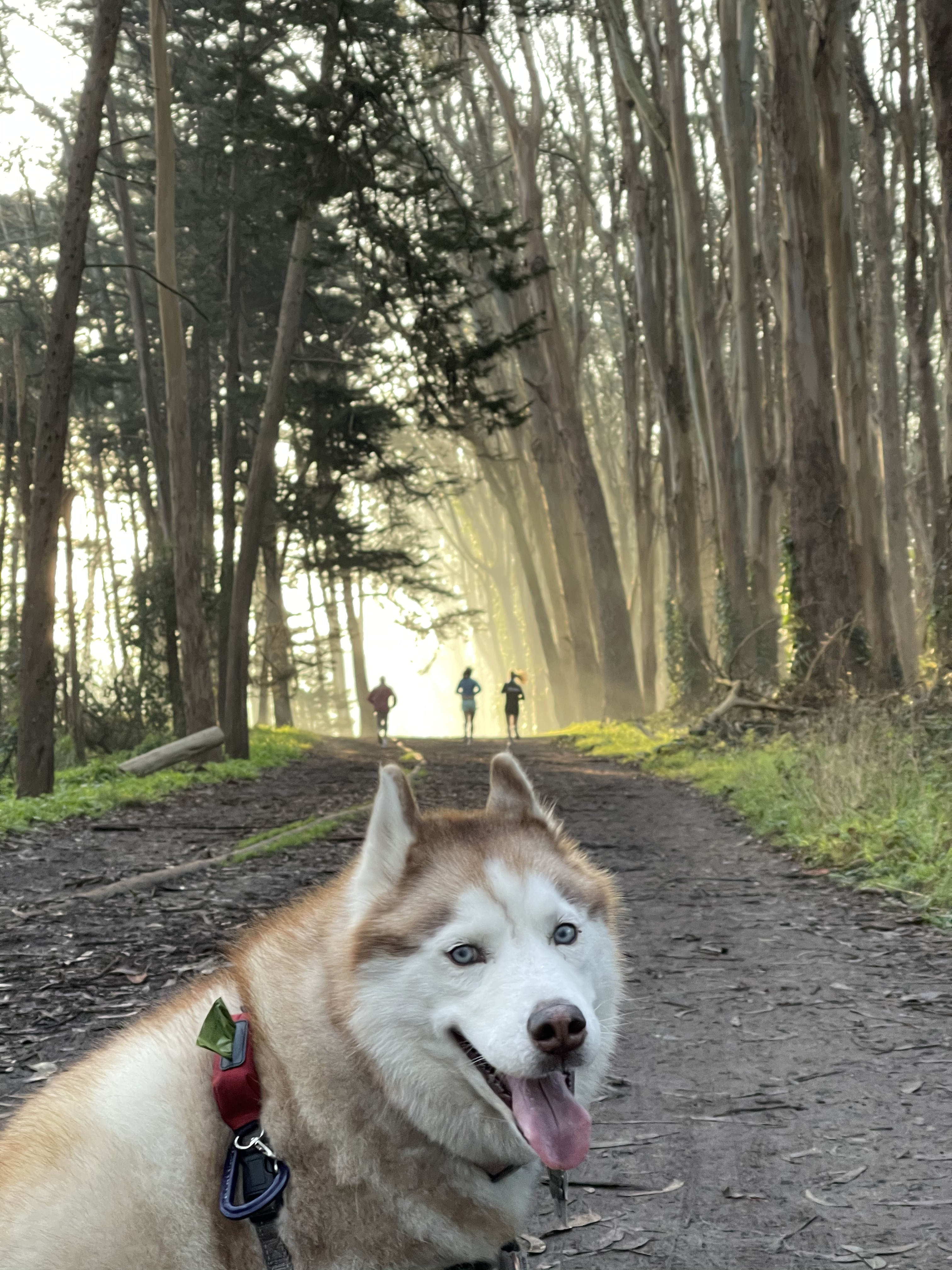 Noona in the Presidio