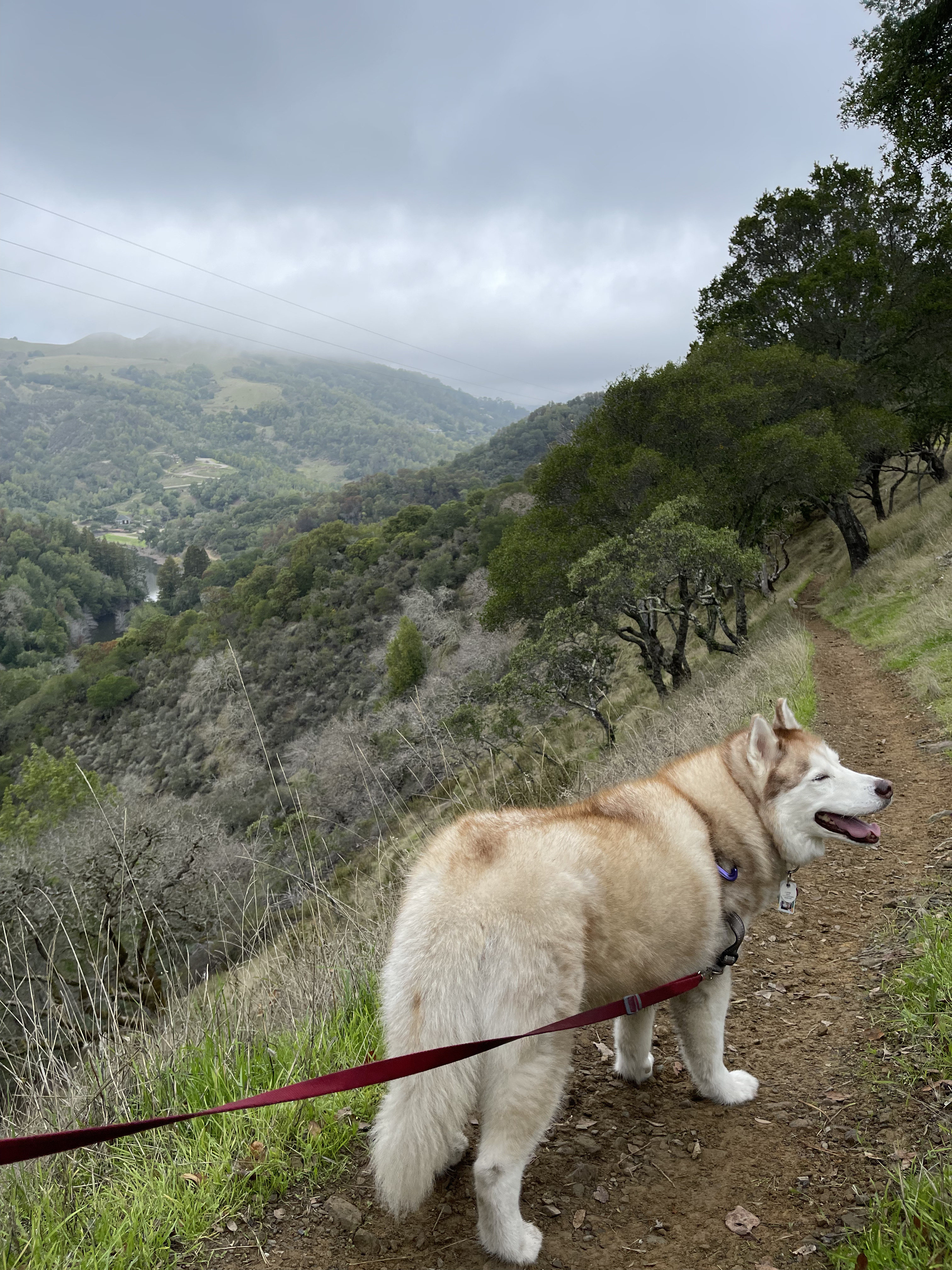 Noona in Marin
